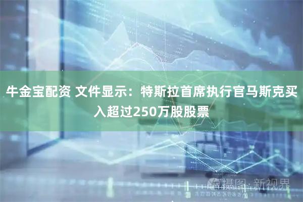牛金宝配资 文件显示：特斯拉首席执行官马斯克买入超过250万股股票