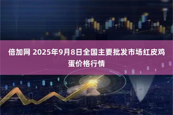 倍加网 2025年9月8日全国主要批发市场红皮鸡蛋价格行情