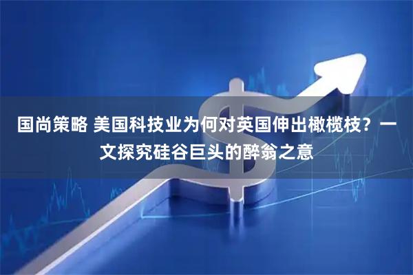 国尚策略 美国科技业为何对英国伸出橄榄枝？一文探究硅谷巨头的醉翁之意