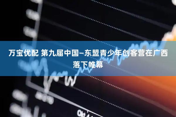 万宝优配 第九届中国—东盟青少年创客营在广西落下帷幕