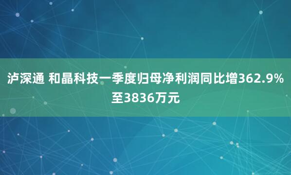 泸深通 和晶科技一季度归母净利润同比增362.9%至3836万元