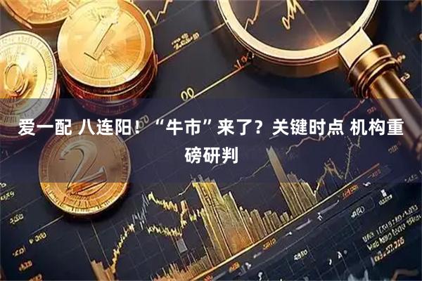 爱一配 八连阳！“牛市”来了？关键时点 机构重磅研判