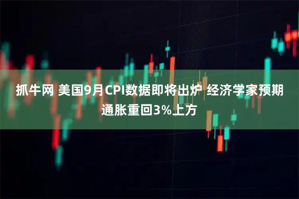 抓牛网 美国9月CPI数据即将出炉 经济学家预期通胀重回3%上方