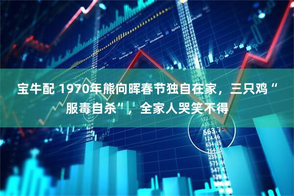 宝牛配 1970年熊向晖春节独自在家,三只鸡“服毒自杀”,全家人哭笑不得