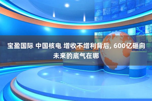 宝盈国际 中国核电 增收不增利背后, 600亿砸向未来的底气在哪