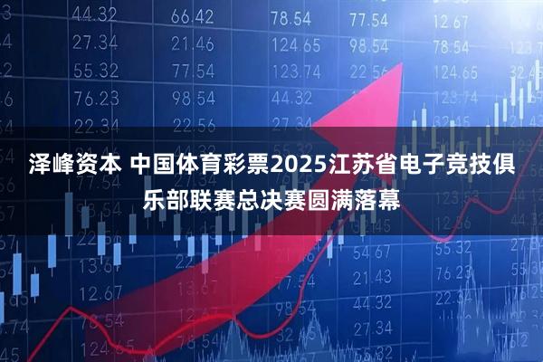 泽峰资本 中国体育彩票2025江苏省电子竞技俱乐部联赛总决赛圆满落幕