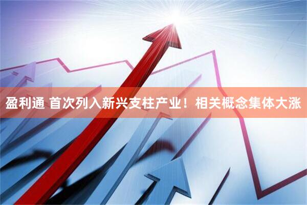 盈利通 首次列入新兴支柱产业！相关概念集体大涨