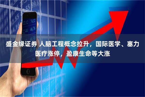 盛金缘证券 人脑工程概念拉升，国际医学、塞力医疗涨停，盈康生命等大涨