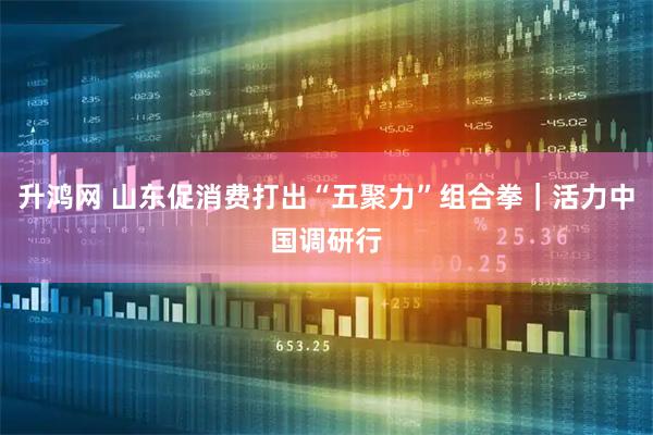 升鸿网 山东促消费打出“五聚力”组合拳｜活力中国调研行